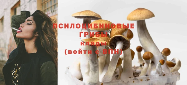 apvp Абинск