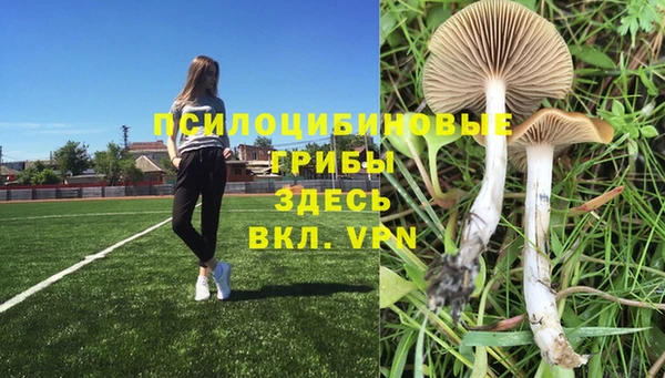 apvp Абинск