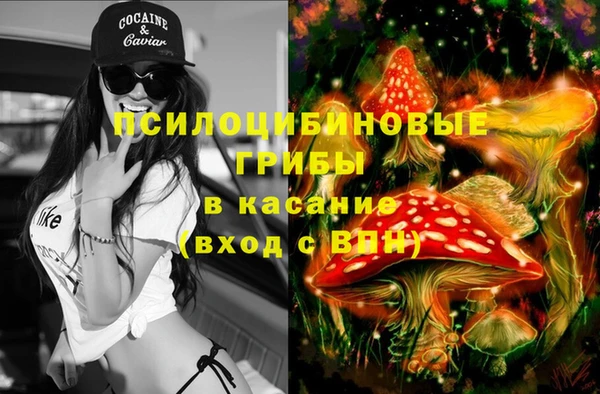 apvp Абинск