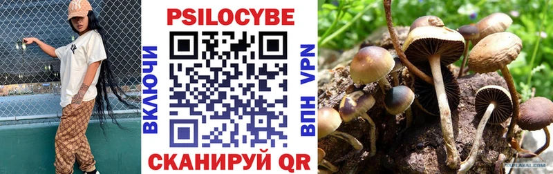 где купить наркотик  Тетюши  Галлюциногенные грибы Magic Shrooms 